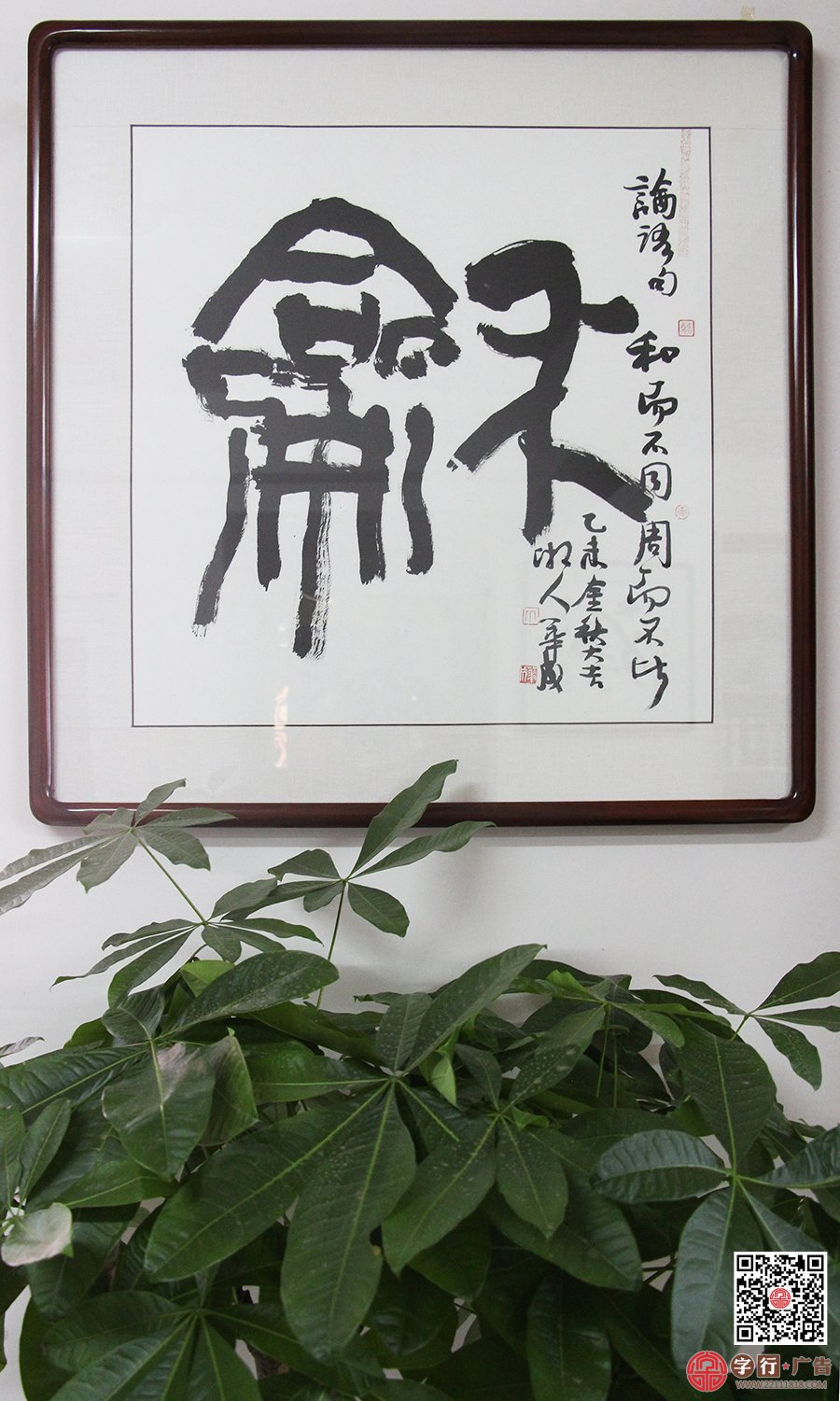 办公室一角,株洲字行广告公司,办公室在哪里？