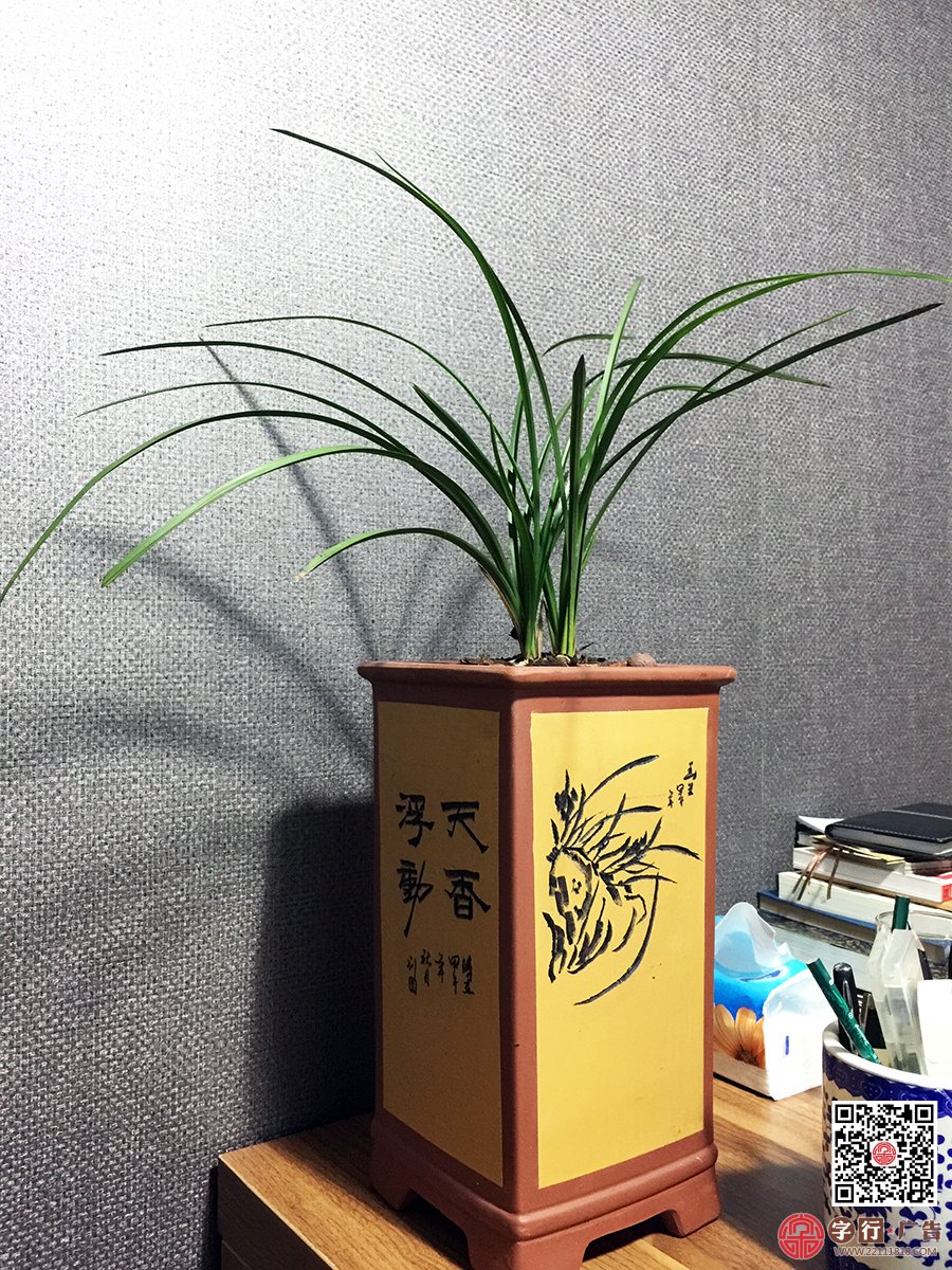 玖珑堂,拓璞顶力,办公室就要酱紫（这样子）