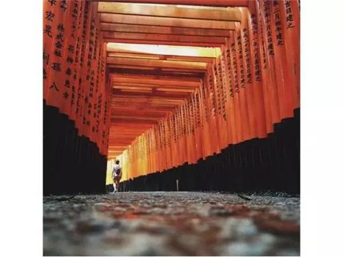 手机摄影就应该这样拍，太帅了.....