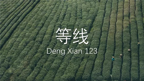 关于PPT设计，你可能需要一份完全字体使用手册