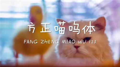 关于PPT设计，你可能需要一份完全字体使用手册