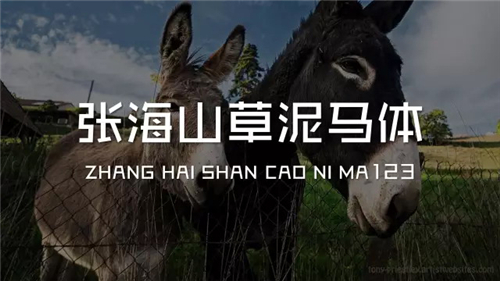 关于PPT设计，你可能需要一份完全字体使用手册