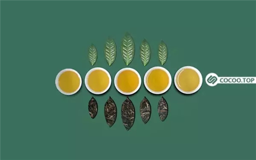 优秀版式设计技巧总结