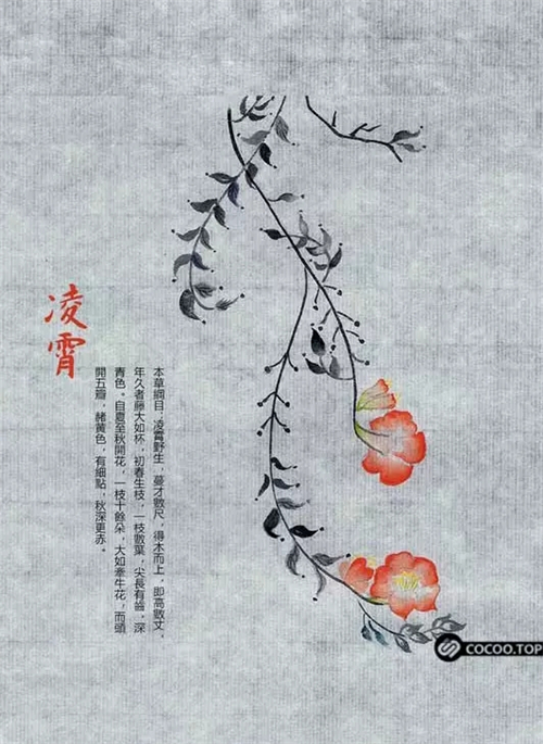全面总结！版式设计原理及海报设计的15招！